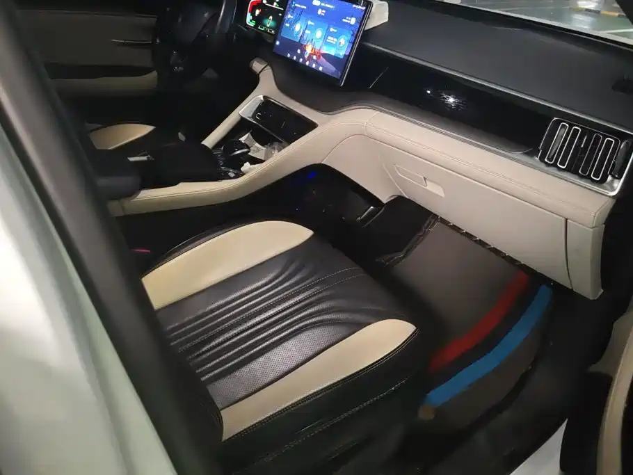 BYD PLUS New Energy — фото 8