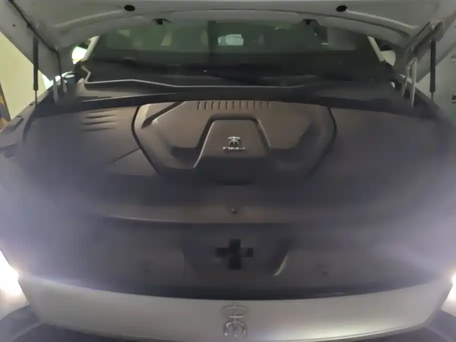 BYD PLUS New Energy — фото 10
