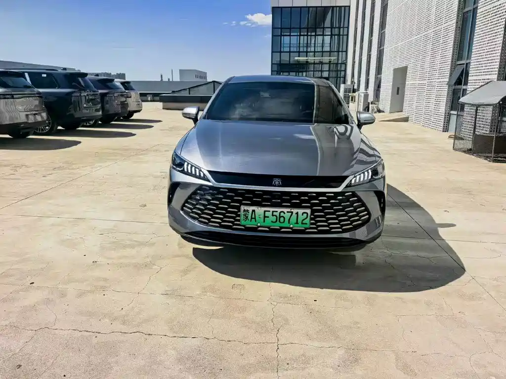 BYD Qin PLUS — фото 2