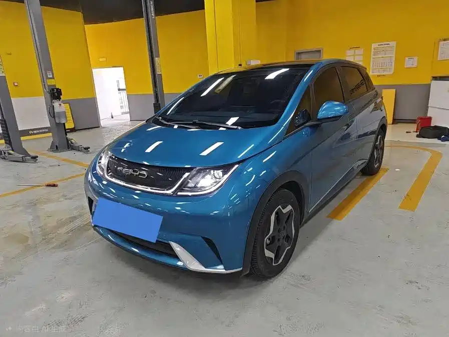 BYD Dolphin