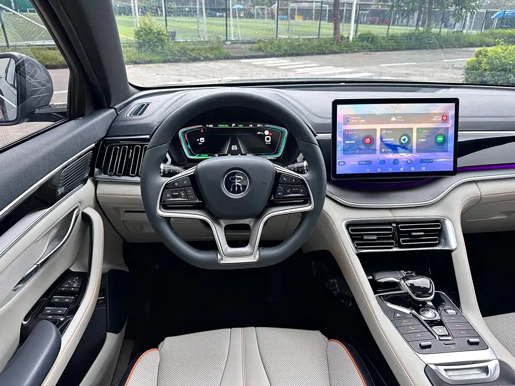 BYD PLUS New Energy — фото 13