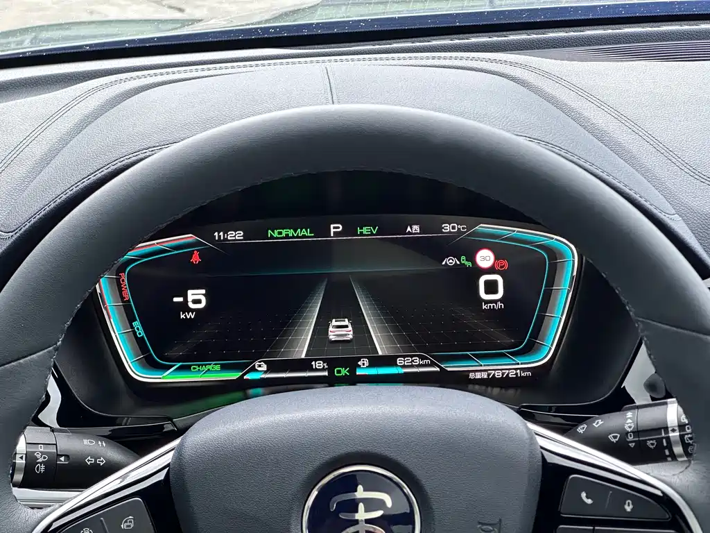 BYD PLUS New Energy — фото 14