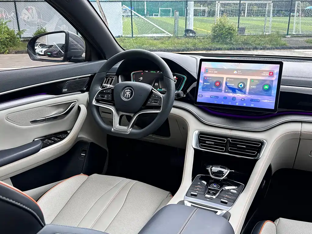 BYD PLUS New Energy — фото 17