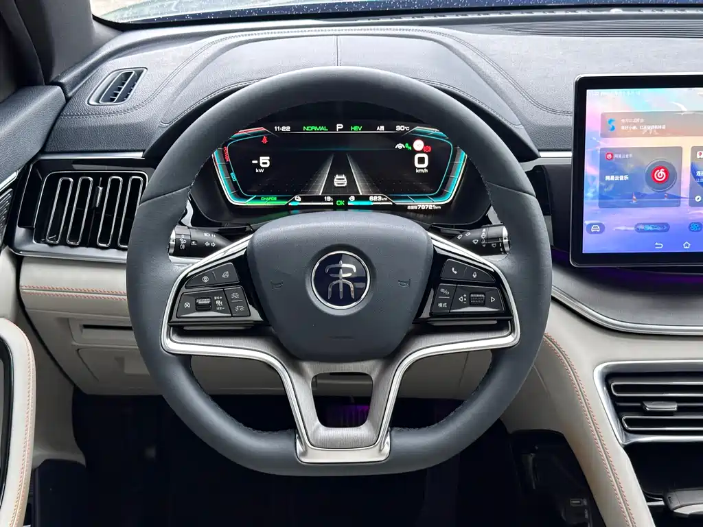 BYD PLUS New Energy — фото 18