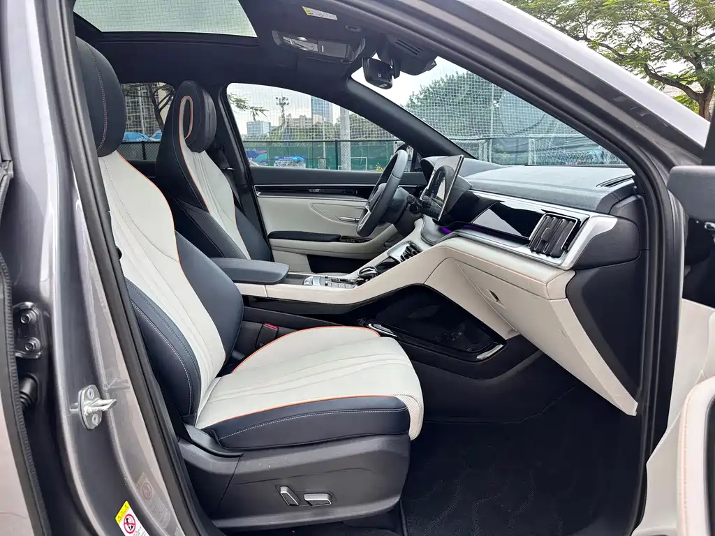 BYD PLUS New Energy — фото 10