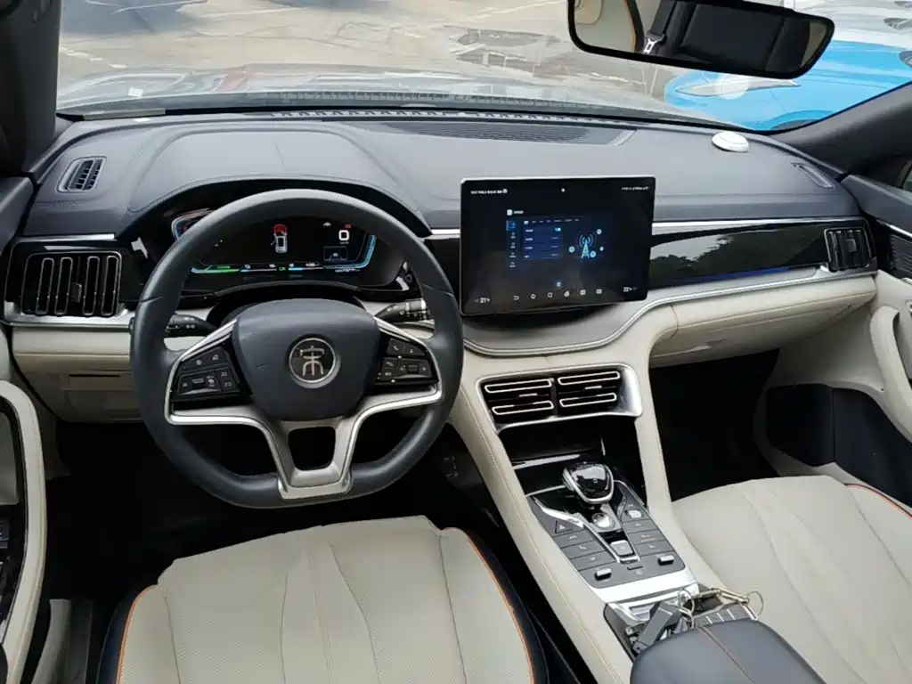 BYD PLUS New Energy — фото 10