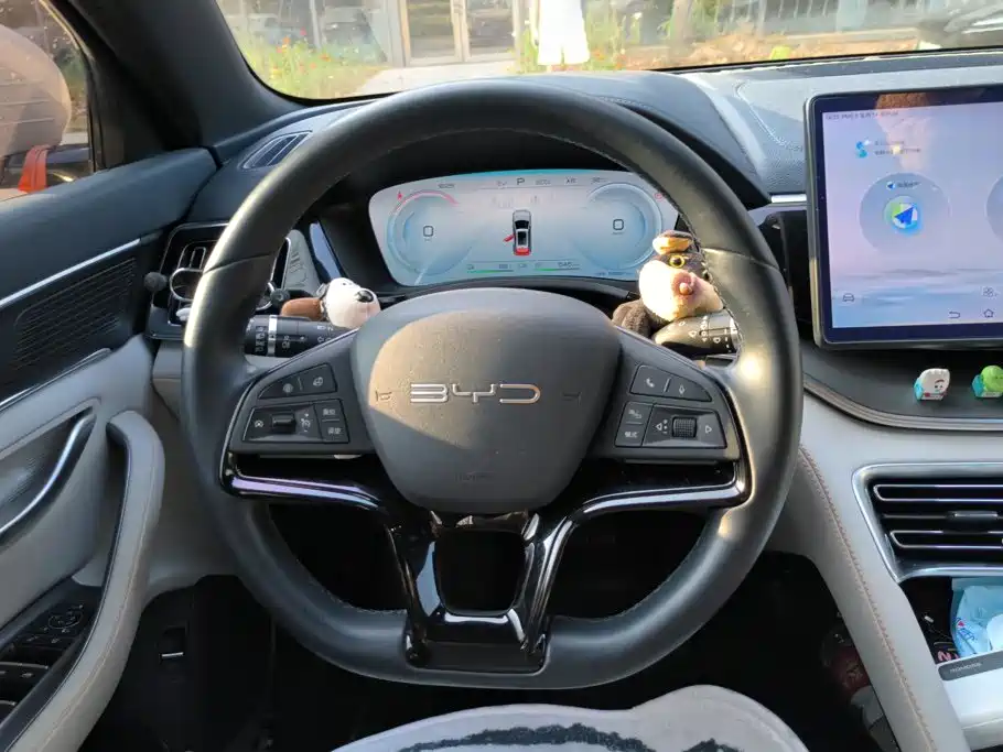 BYD PLUS New Energy — фото 15