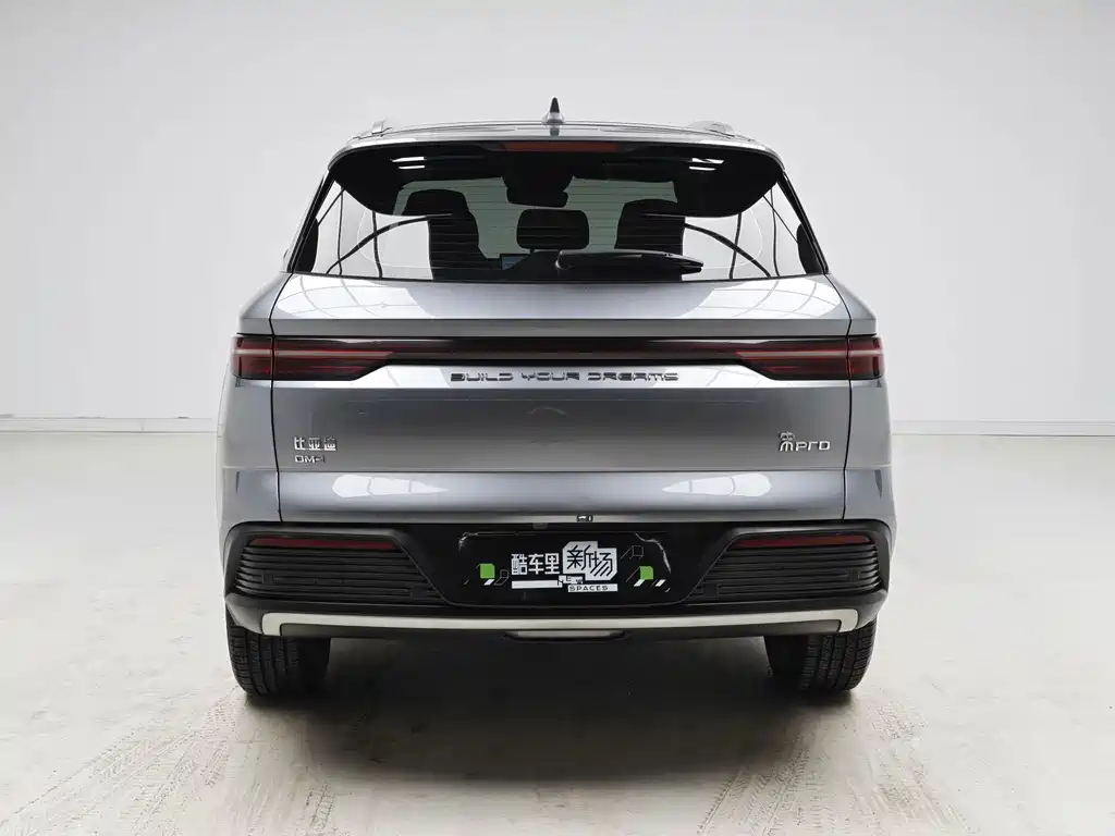 BYD Pro New Energy — фото 5