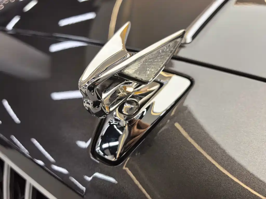 Bentley Flying Spur — фото 11