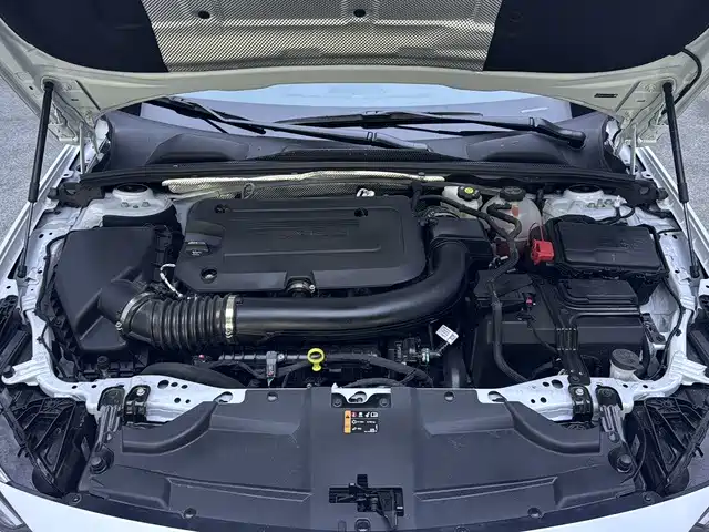 Buick Regal — фото 19