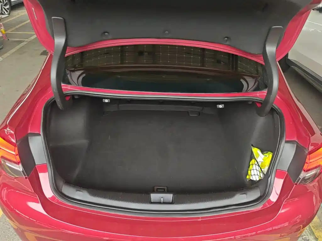 Buick Regal — фото 19