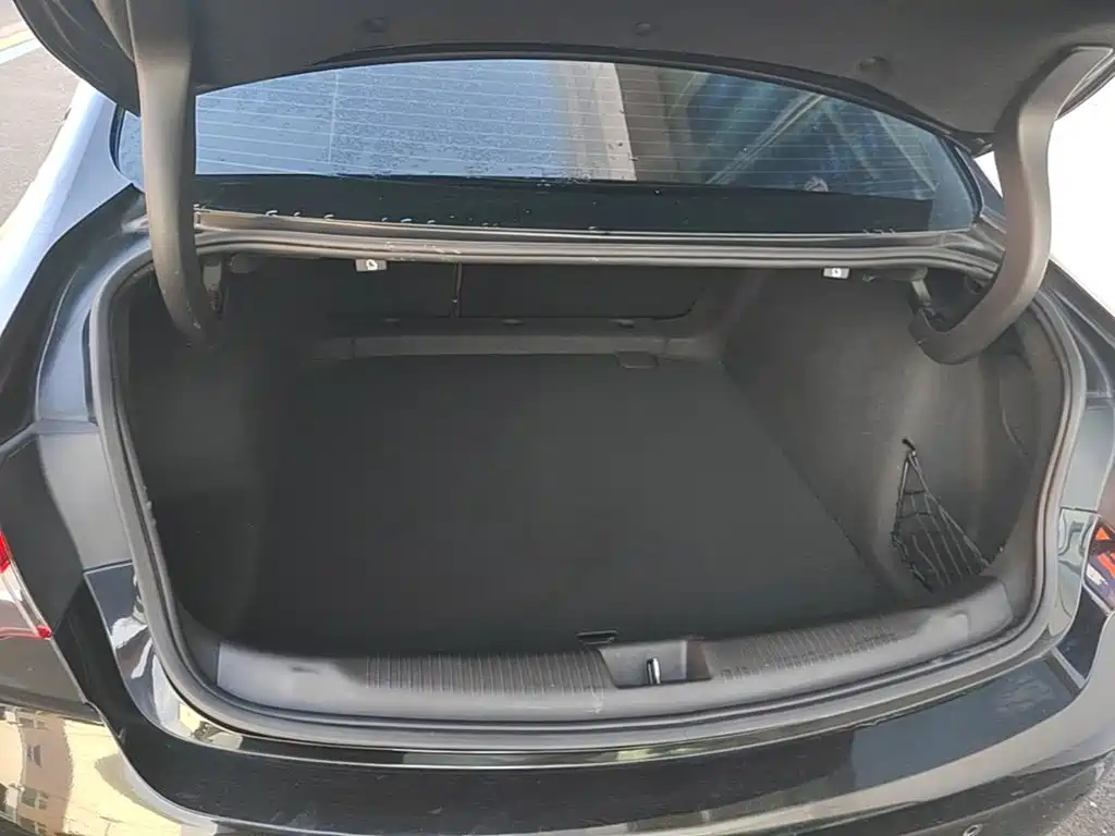 Buick Regal — фото 19