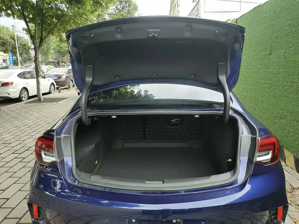 Buick Regal — фото 19