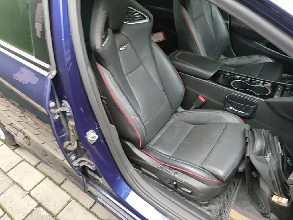 Buick Regal — фото 25