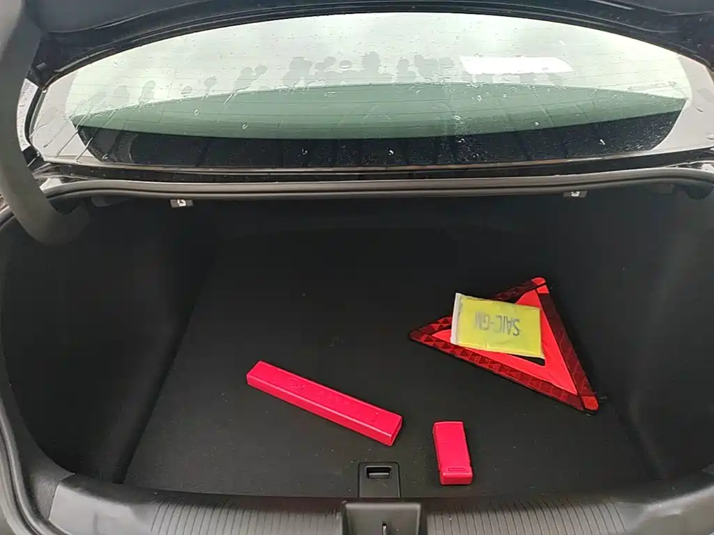 Buick Regal — фото 19