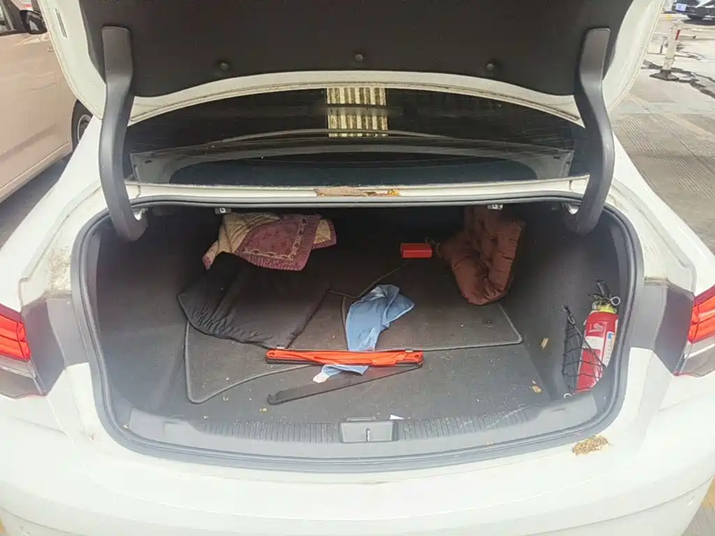 Buick Regal — фото 19