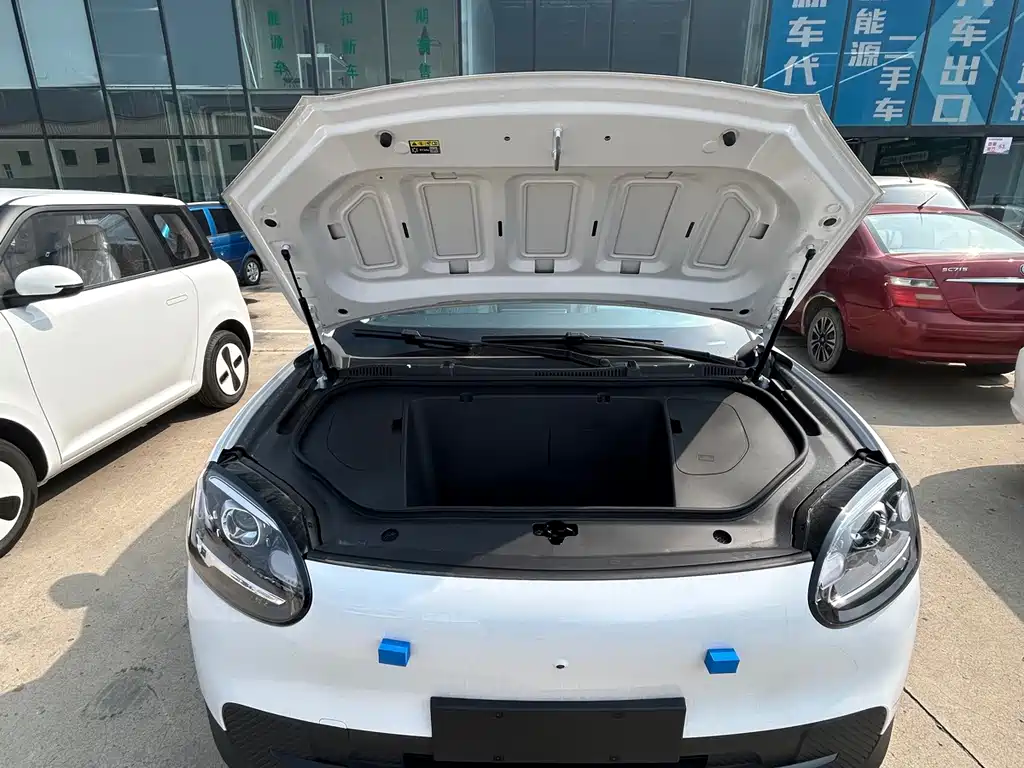 Chery QQ QQ3 EV — фото 10