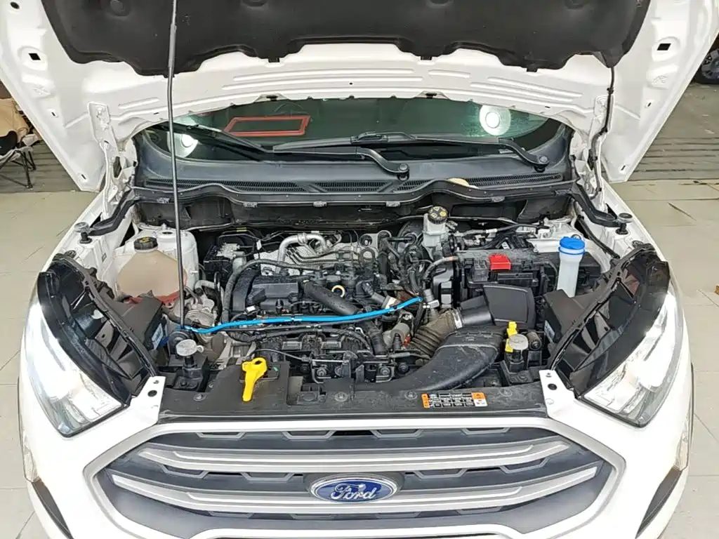 Ford Ecosport — фото 20