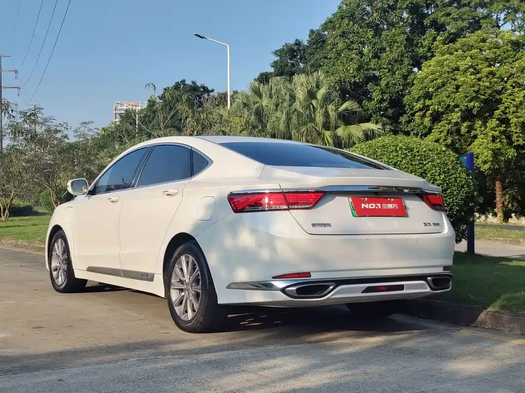 Geely Borui — фото 11