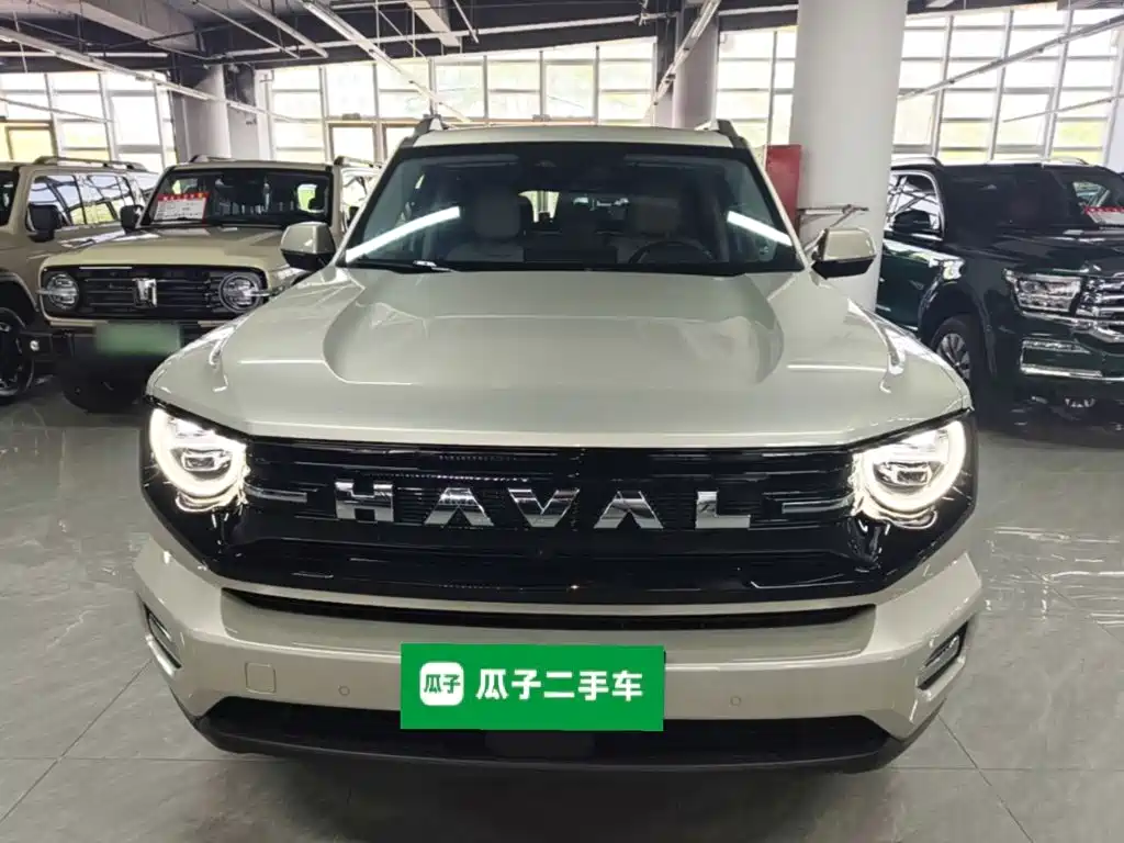 Haval Big Dog PLUS — фото 3