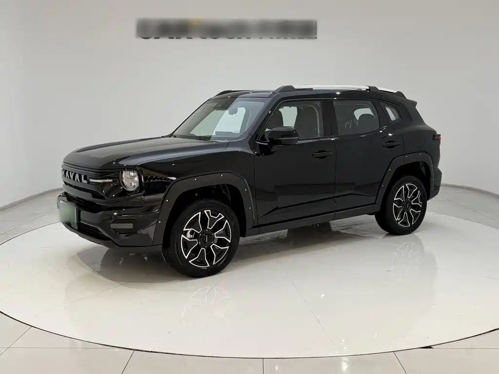 Haval Big Dog PLUS New Energy — фото 3