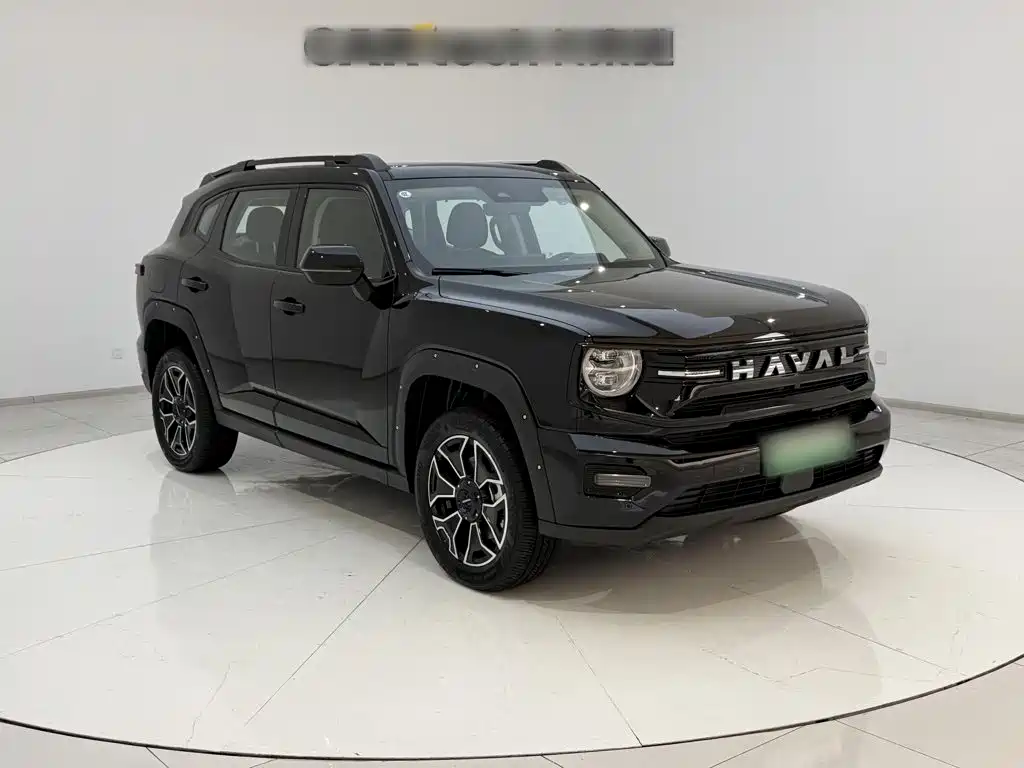 Haval Big Dog PLUS New Energy — фото 6