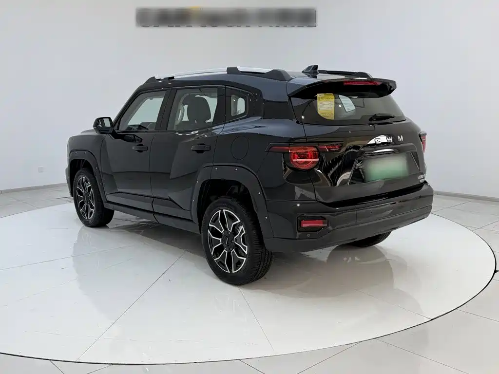 Haval Big Dog PLUS New Energy — фото 8