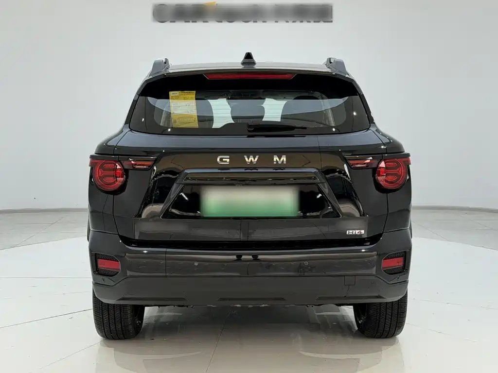 Haval Big Dog PLUS New Energy — фото 9