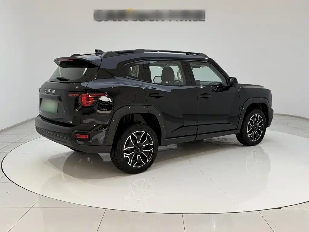 Haval Big Dog PLUS New Energy — фото 10