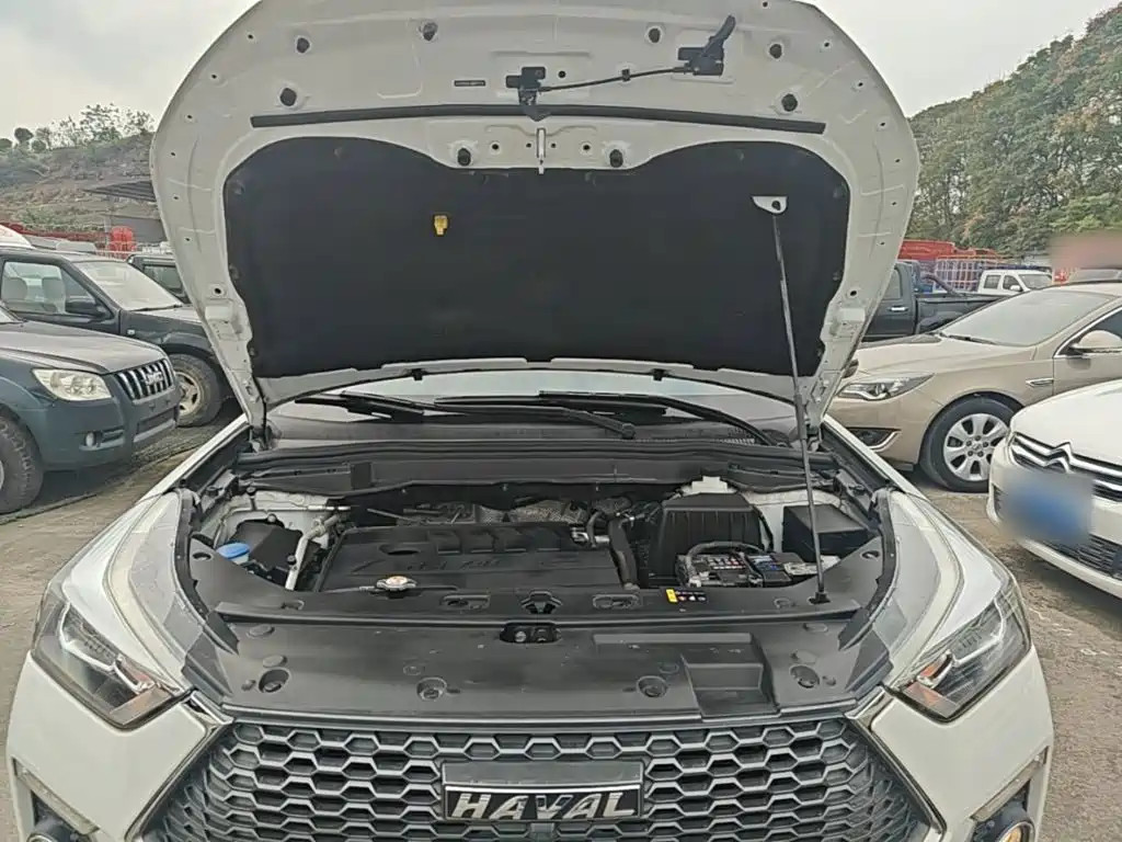 Haval H6 Coupe — фото 20