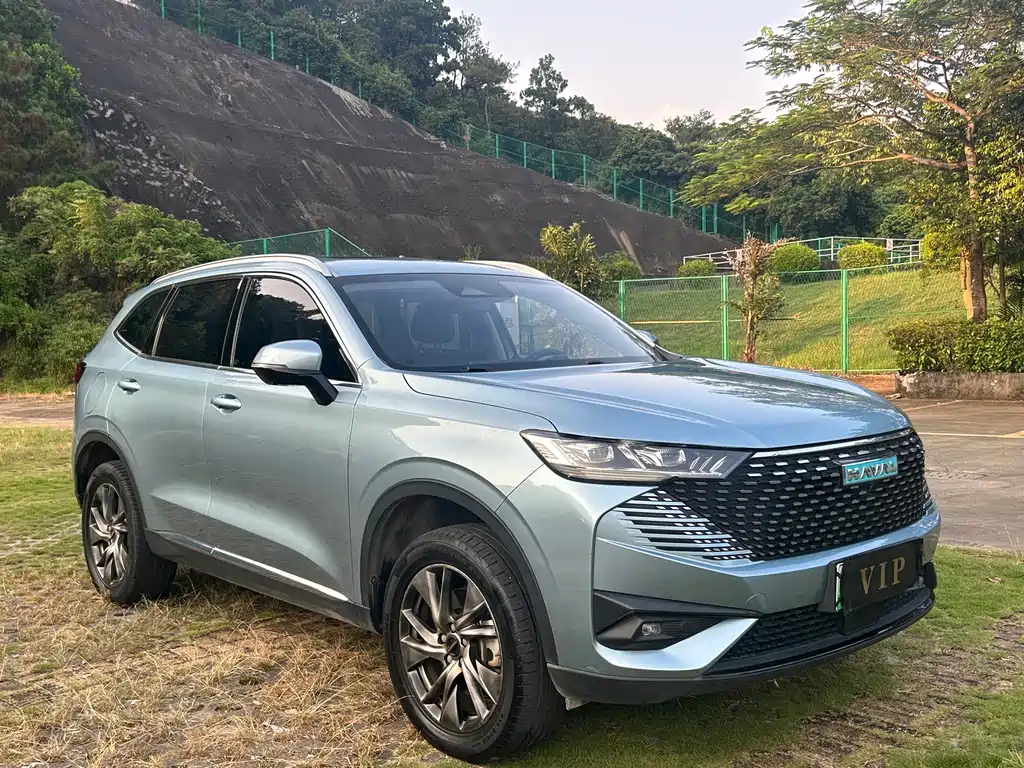 Haval H6 New Energy — фото 3
