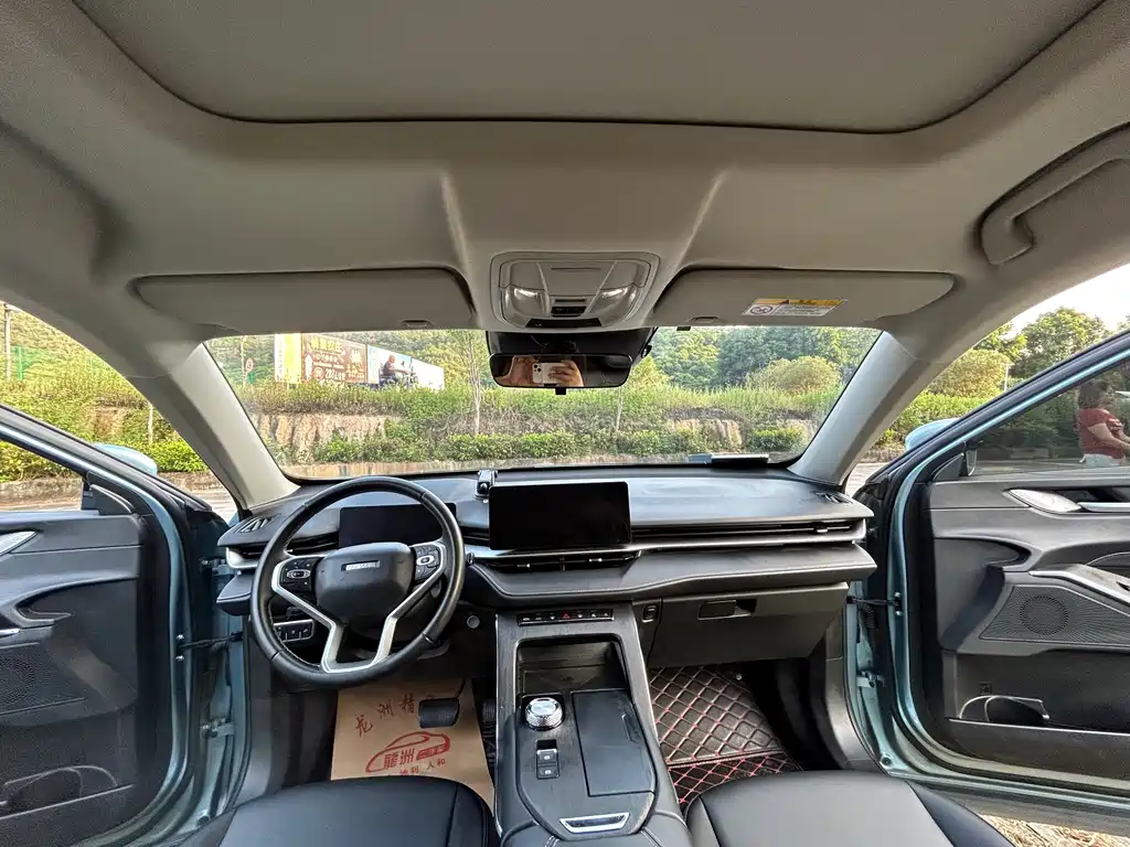 Haval H6 New Energy — фото 7