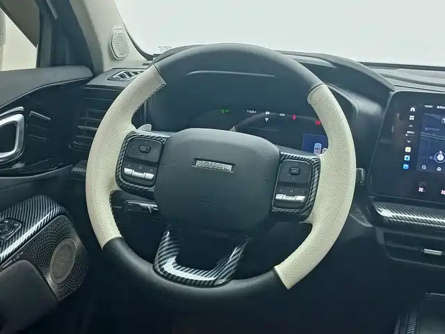 Haval Cool Dog — фото 10
