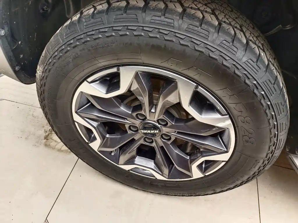 Haval Big Dog — фото 14