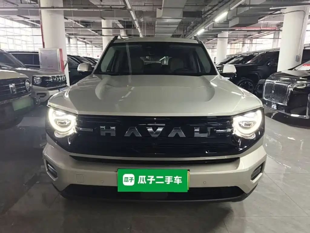 Haval Big Dog PLUS New Energy — фото 3