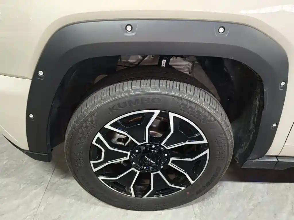 Haval Big Dog PLUS New Energy — фото 23