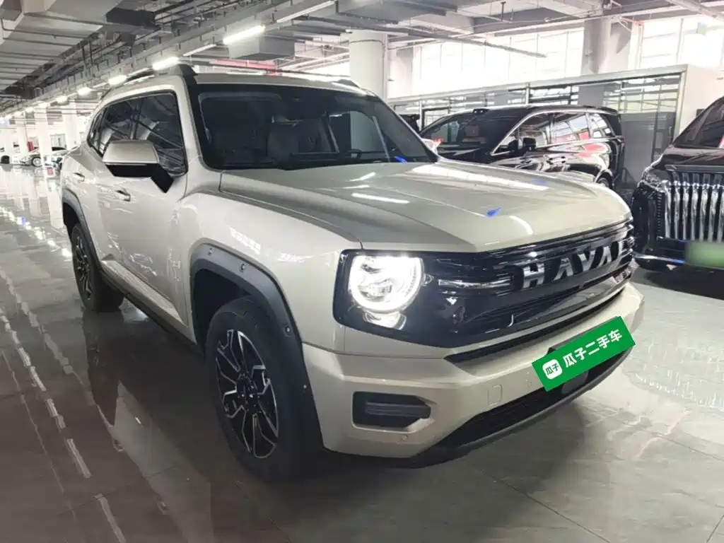 Haval Big Dog PLUS New Energy — фото 4