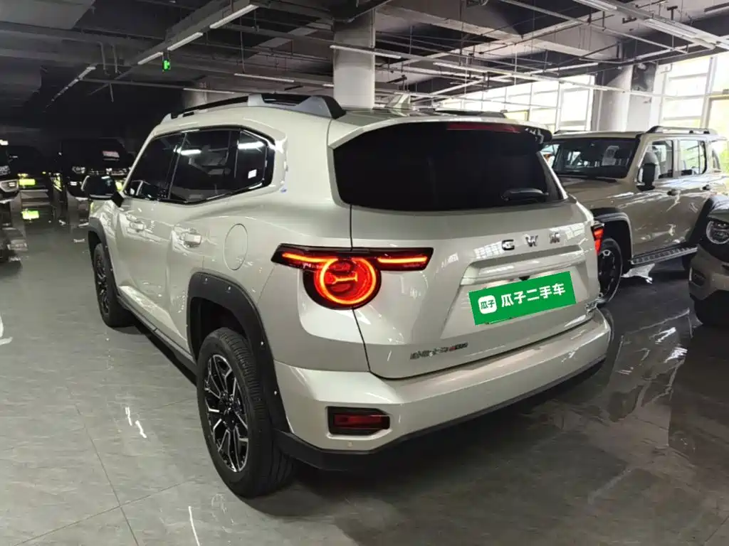 Haval Big Dog PLUS New Energy — фото 5