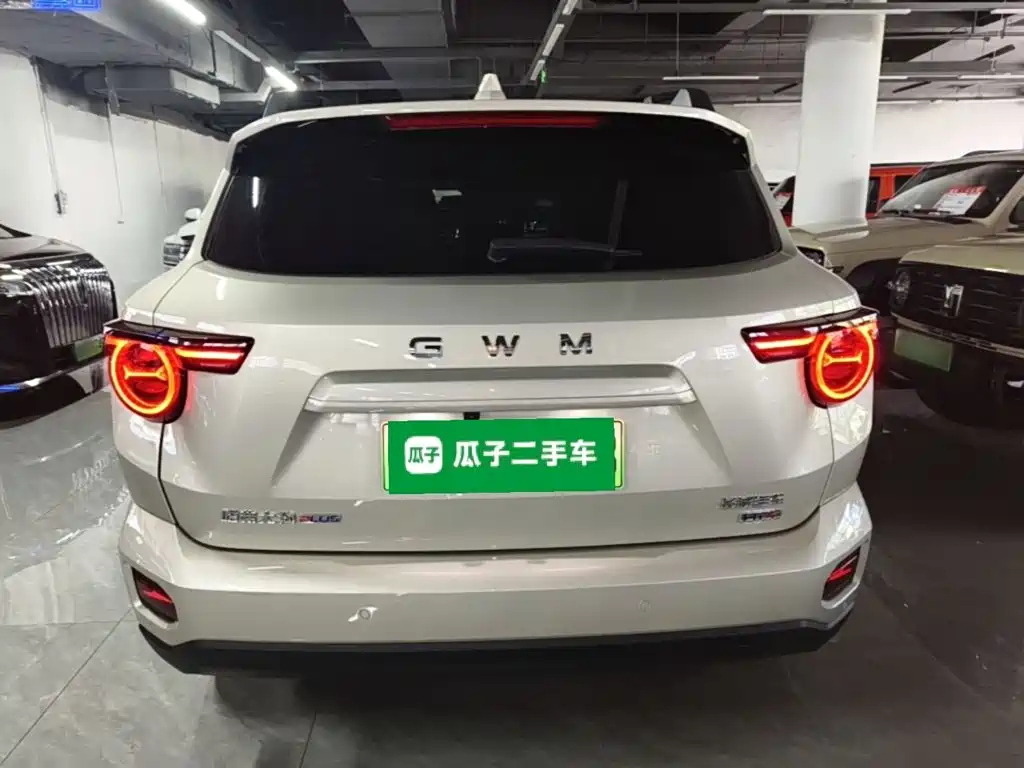 Haval Big Dog PLUS New Energy — фото 6