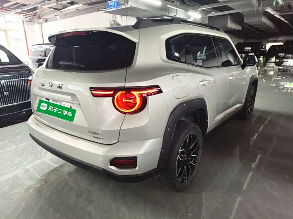 Haval Big Dog PLUS New Energy — фото 7