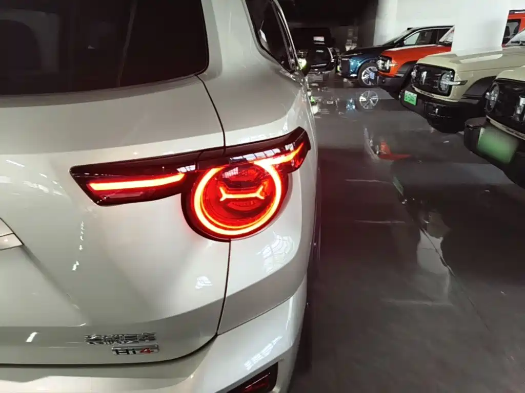 Haval Big Dog PLUS New Energy — фото 8