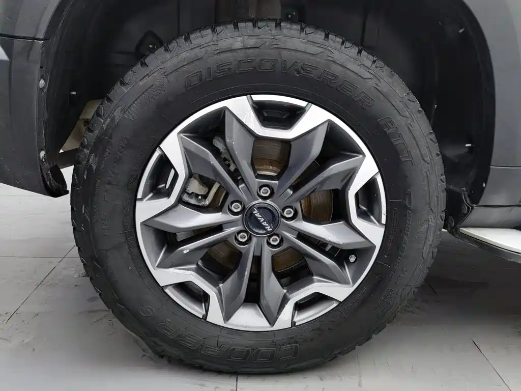 Haval Big Dog — фото 17