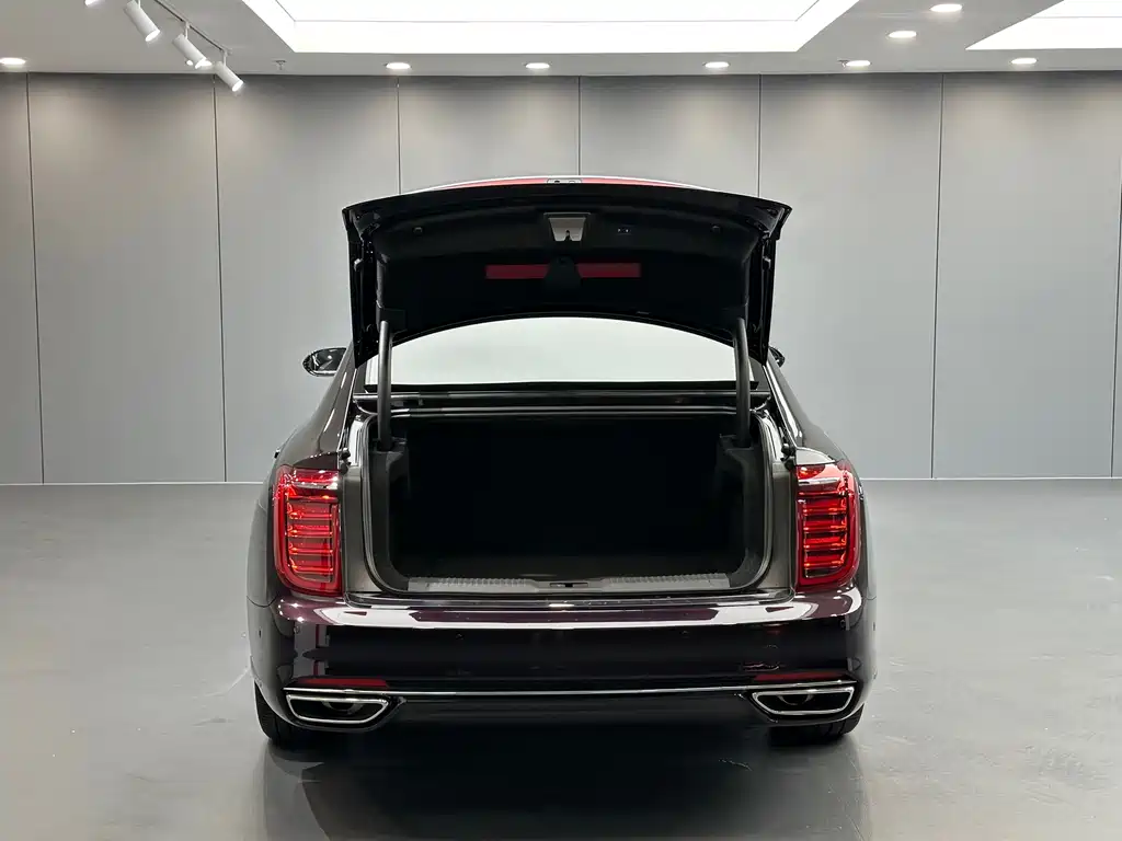 Hongqi Hongqi H9 — фото 35