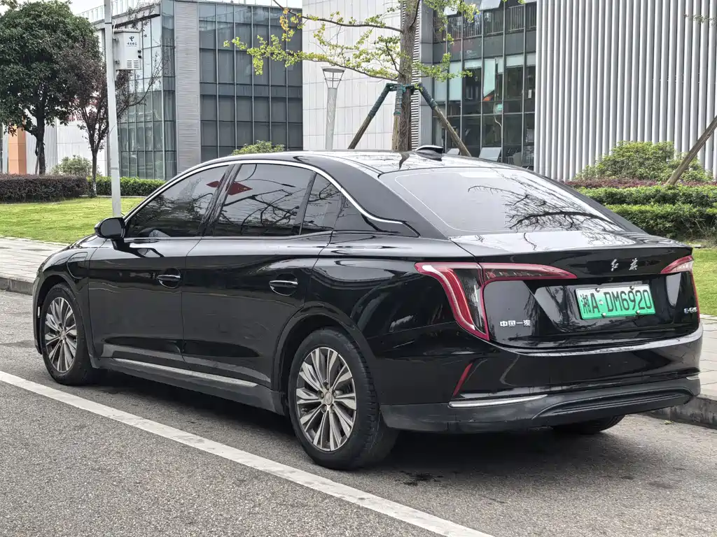 Hongqi Hongqi E-QM5 — фото 6