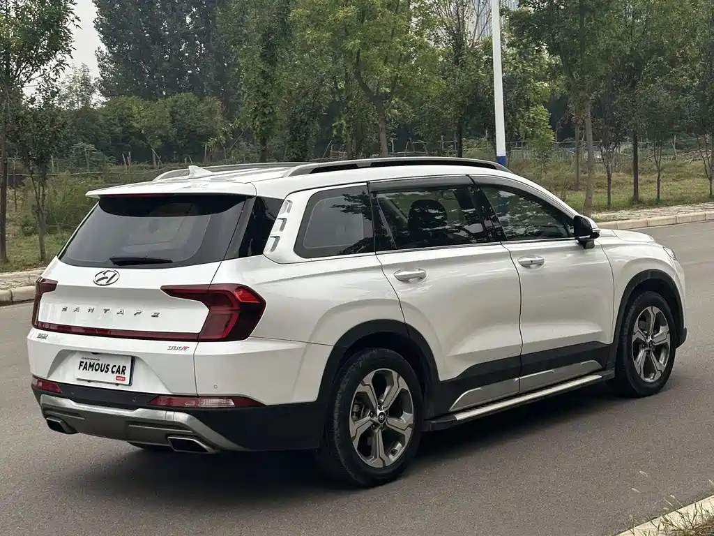 Hyundai Santa Fe — фото 6