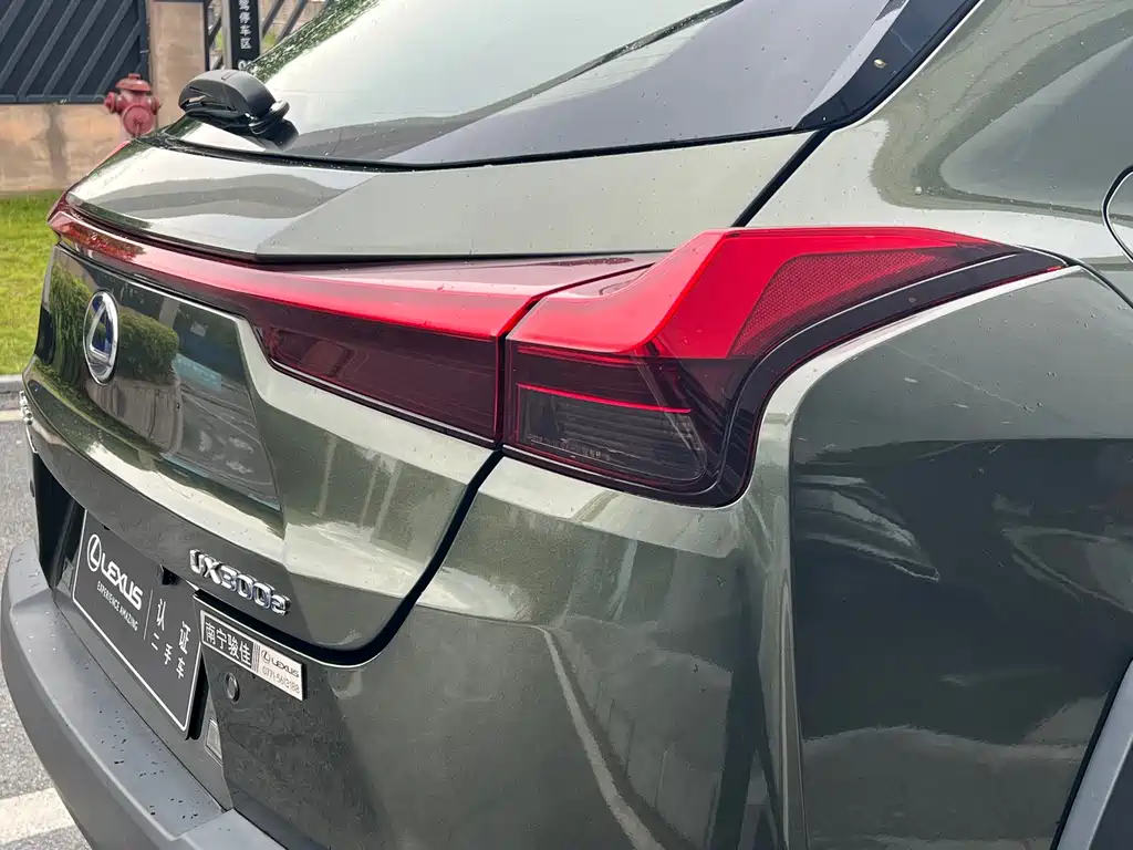 Lexus UX New Energy — фото 17