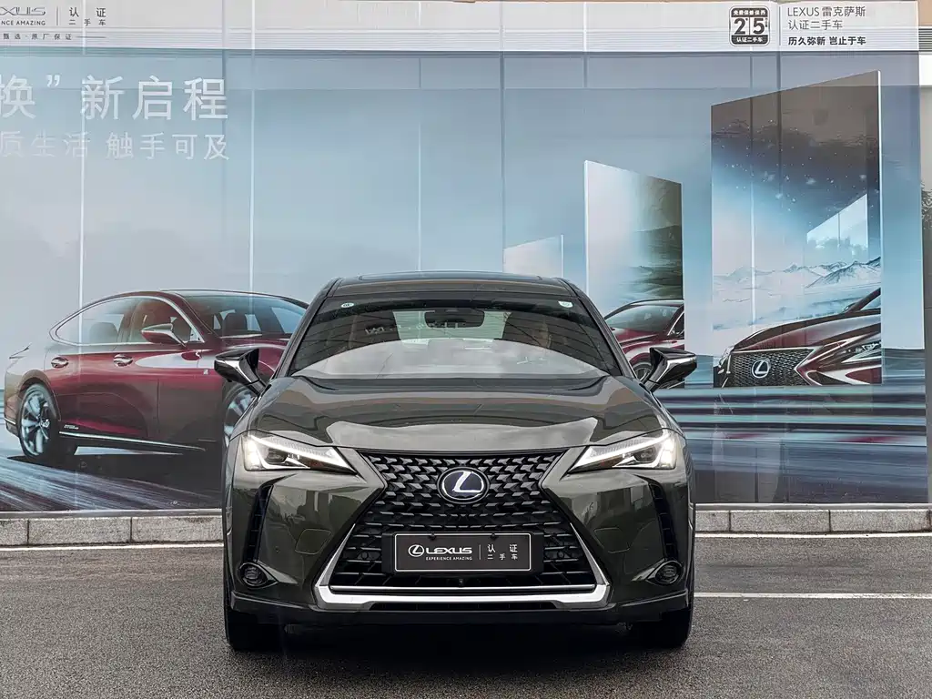 Lexus UX New Energy — фото 3