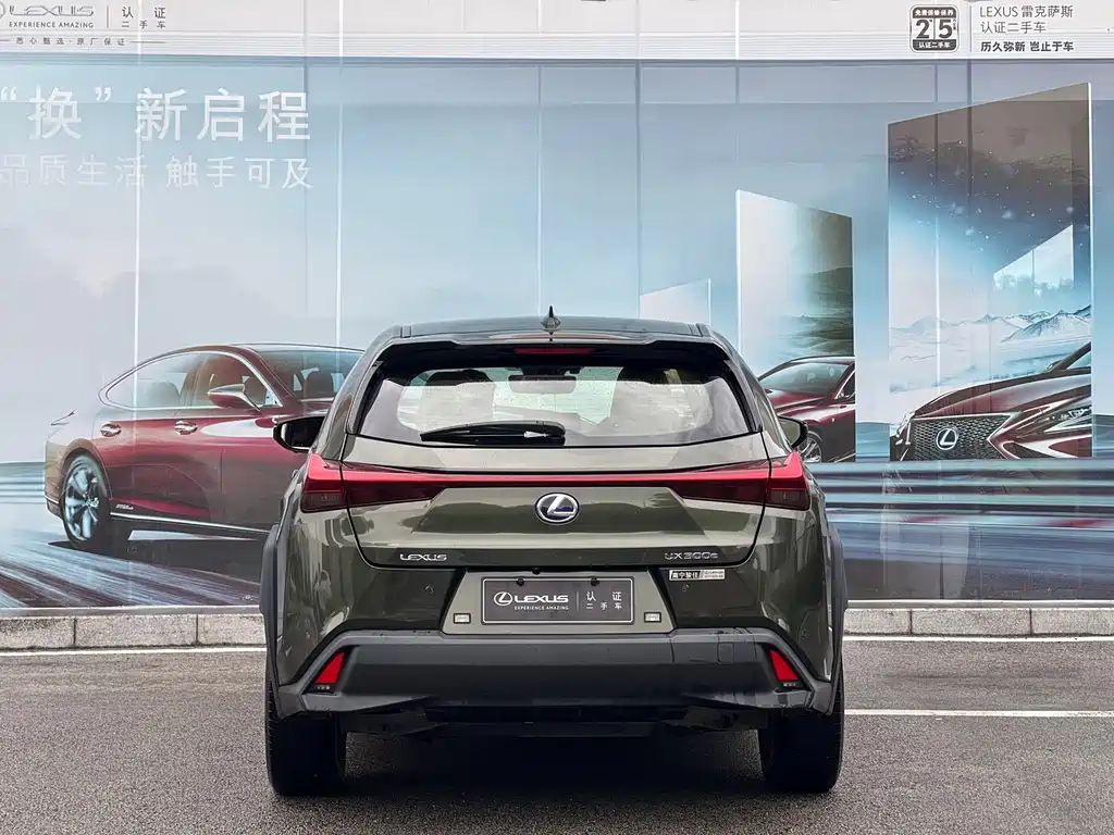 Lexus UX New Energy — фото 8