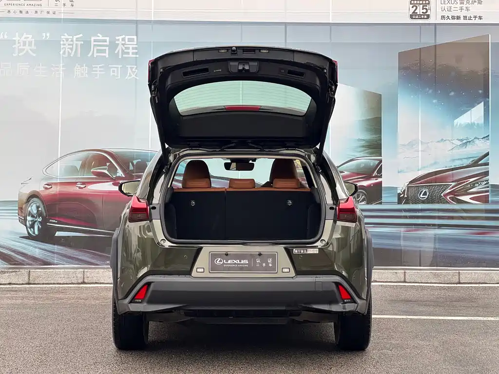 Lexus UX New Energy — фото 9