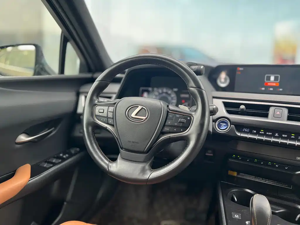 Lexus UX New Energy — фото 10